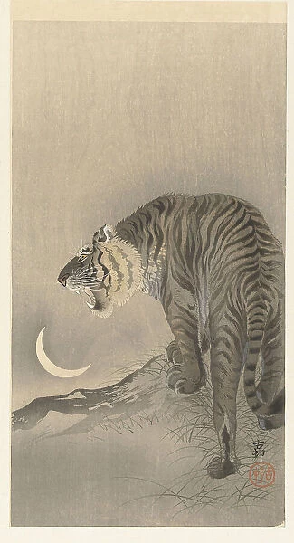 Roaring tiger. Creator: Ohara, Koson (1877-1945)