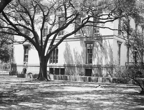 Robb House, New Orleans, between 1920 and 1926. Creator: Arnold Genthe