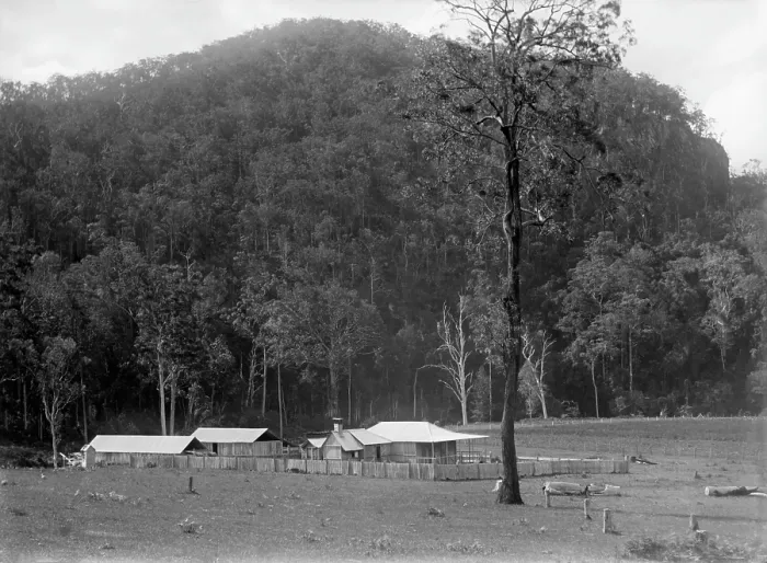 Framed Print : Robert Augustus Henry L'Estrange's 'Homestead' Canungra, c1880s Framed Print : Robert Augustus Henry L'Estrange's 'Homestead' Canungra, c1880s