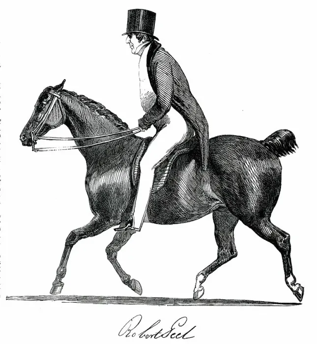 Framed Print : Robert Peel, 1850. Creator: Unknown