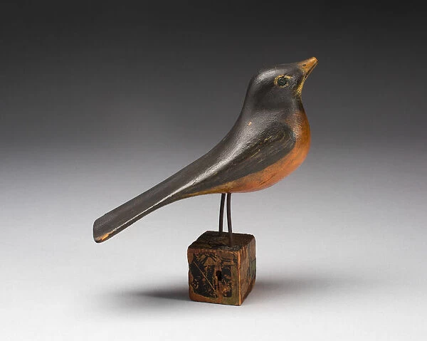 Robin, 1860  /  1900. Creator: Unknown