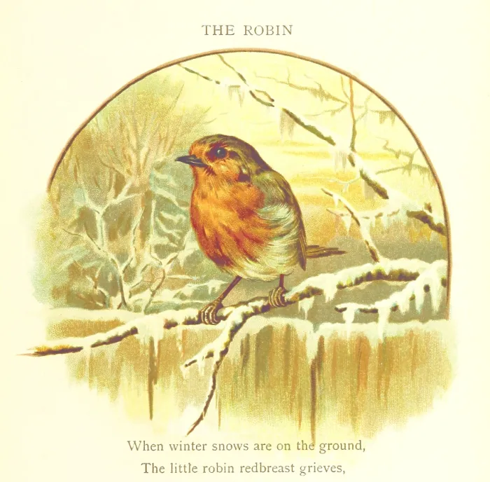 Framed Print : The Robin, 1893. Creator: Jessie Hall Framed Print : The Robin, 1893. Creator: Jessie Hall