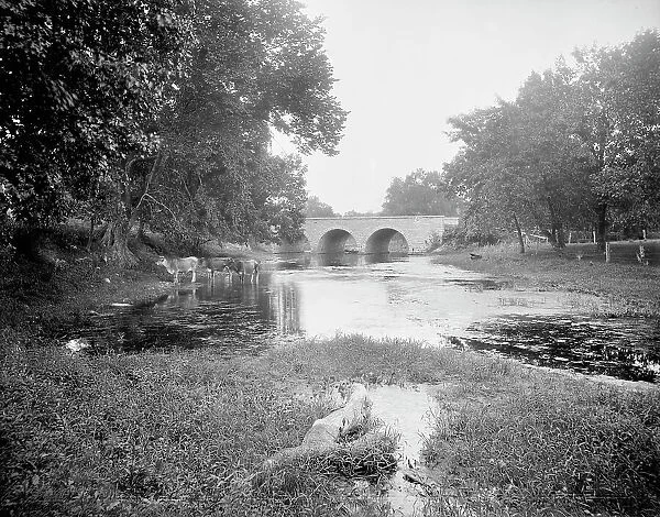 Robson's Bridge, Wilmington, Ill. between 1900 and 1906. Creator: Unknown