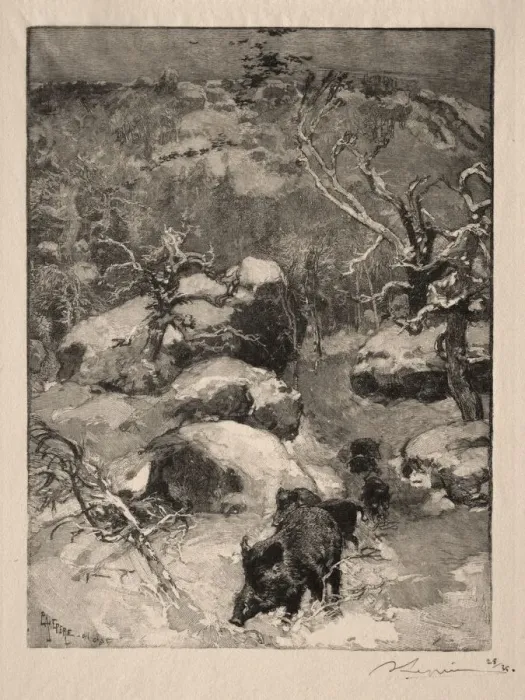 Framed Print : Roche Cuvier Chatillon, 1887. Creator: Auguste Louis Lepere (French, 1849-1918) Framed Print : Roche Cuvier Chatillon, 1887. Creator: Auguste Louis Lepere (French, 1849-1918)