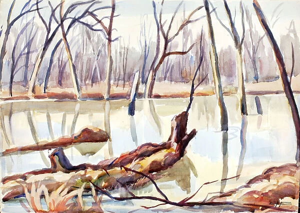 Rock Creek, Winter, ca. 1920-1929. Creator: Edgar Nye