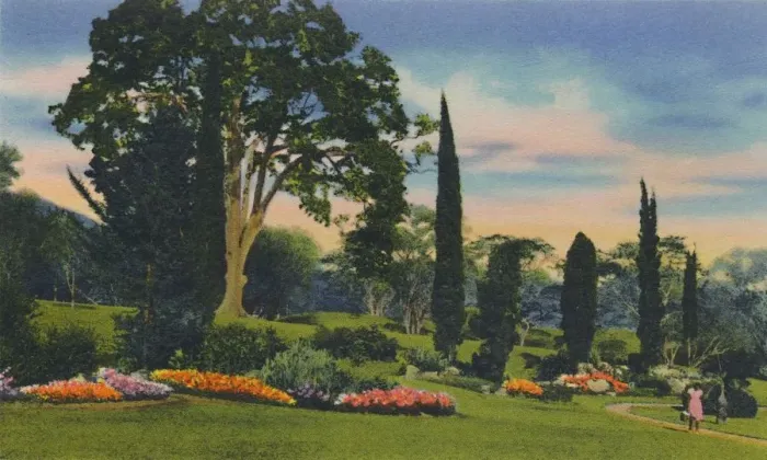 Framed Print : Rock Garden, Trinidad, B. W. I. c1940s. Creator: Unknown Framed Print : Rock Garden, Trinidad, B. W. I. c1940s. Creator: Unknown