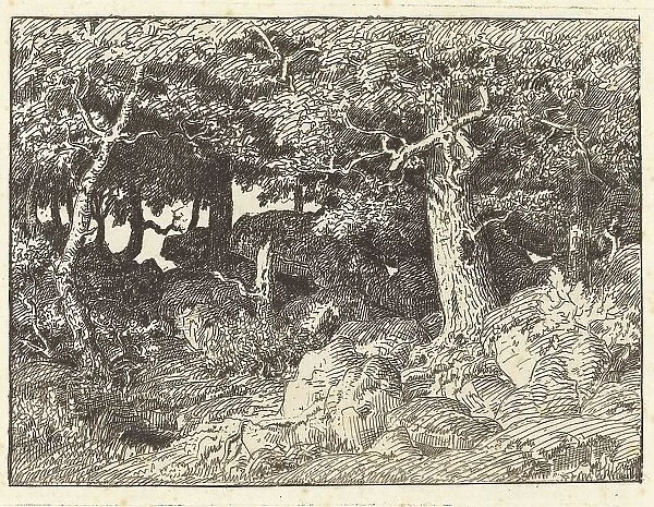 Rock Oaks, 1861. Creator: Theodore Rousseau