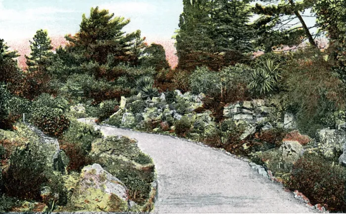 Framed Print : The Rockery, Kew Gardens, Richmond upon Thames, London, 20th Century Framed Print : The Rockery, Kew Gardens, Richmond upon Thames, London, 20th Century
