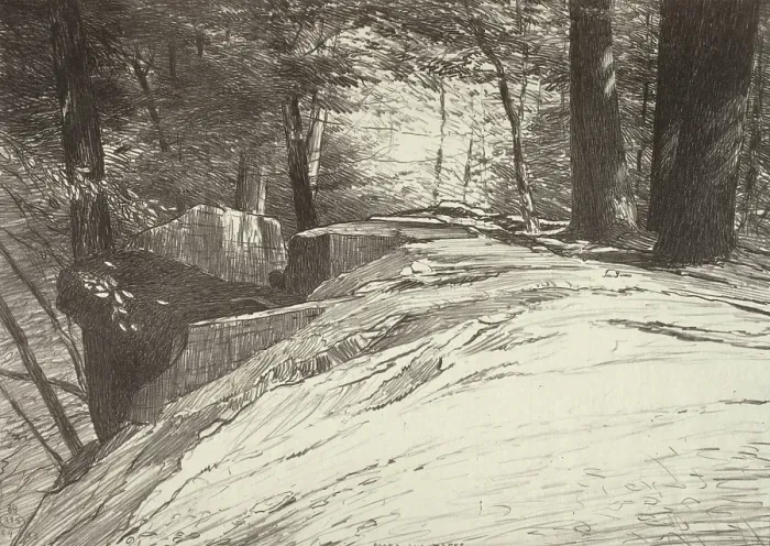Framed Print : Rocks and Trees, 1923. Creator: Bolton Coit Brown Framed Print : Rocks and Trees, 1923. Creator: Bolton Coit Brown