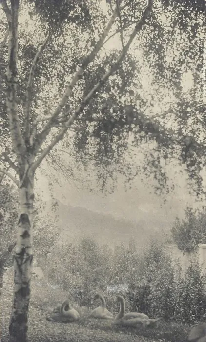 Framed Print : Rodin's Garden, c.1893. Creator: Gertrude Kasebier
