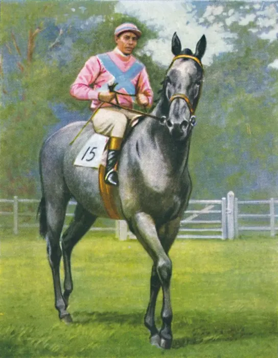 Framed Print : Rogerstone Castle, Jockey: E. C. Elliott, 1939 Framed Print : Rogerstone Castle, Jockey: E. C. Elliott, 1939