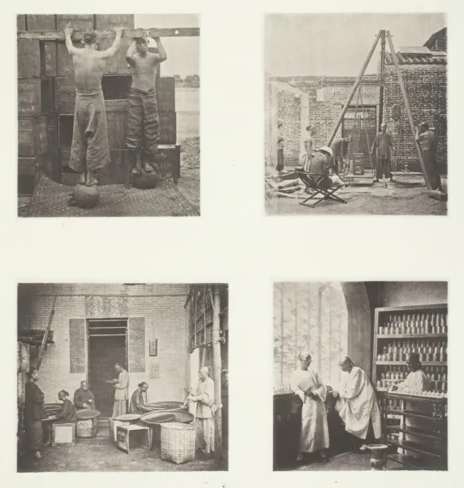Framed Print : Rolling Scented Caper and Gunpowder Teas; Weighing Tea for Exportation; A Tea House... c Framed Print : Rolling Scented Caper and Gunpowder Teas; Weighing Tea for Exportation; A Tea House... c