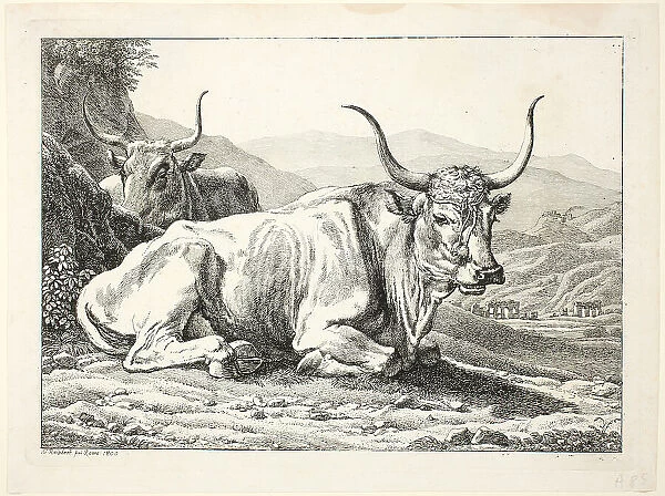 Two Roman Bulls Resting, from Die Zwiete Thierfolge, 1800. Creator: Johann Christian Reinhart