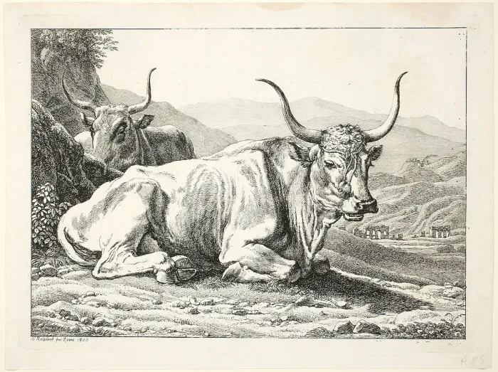 Framed Print : Two Roman Bulls Resting, from Die Zwiete Thierfolge, 1800. Creator: Johann Christian Reinhart
