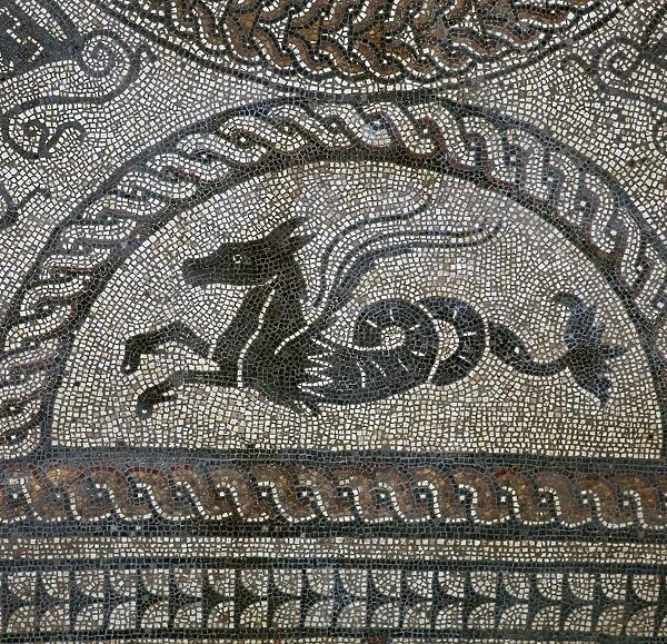 Detail of a Roman floor mosaic showing a sea-horse, 1st century