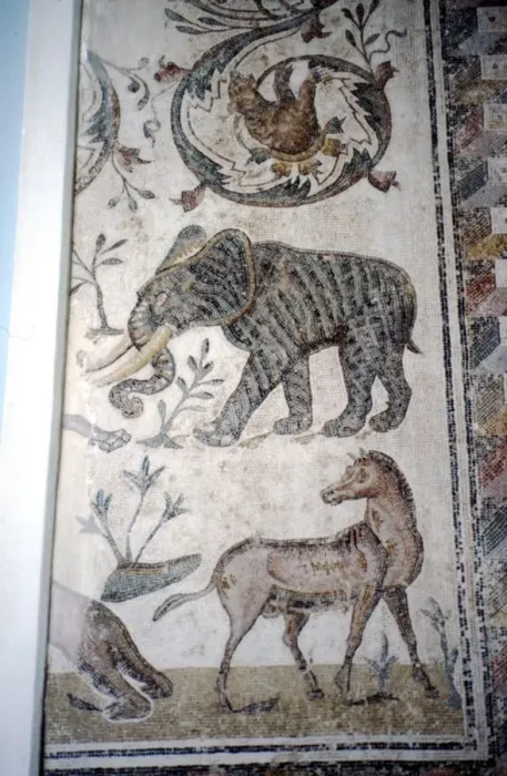 Framed Print : Roman Mosaic of Elephant, Horse and Bear, c2nd-3rd century Framed Print : Roman Mosaic of Elephant, Horse and Bear, c2nd-3rd century