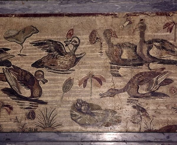 Roman Mosaic from Pompeii of ducks and frogs in a water garden, 1st century. Artist: Dioscurides of Samos