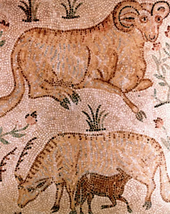 Framed Print : Roman mosaic of a ram, a cow and calf, 4th century AD Framed Print : Roman mosaic of a ram, a cow and calf, 4th century AD