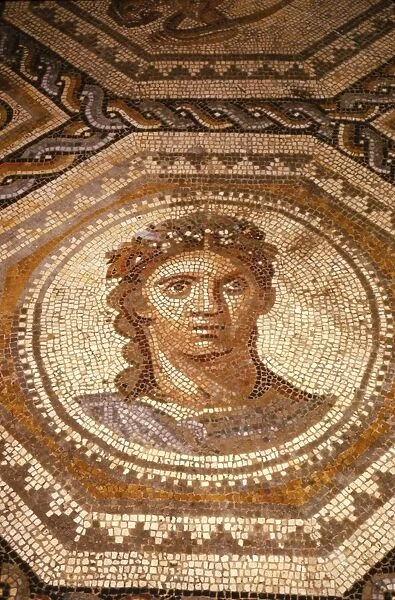 Roman Mosaic of the Season Summer at Museum of Pagan Art, Arles, France, c1st-2nd century