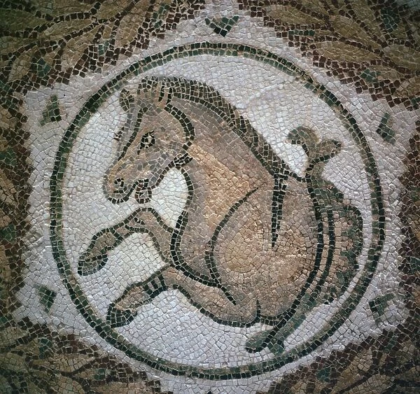 Detail of a Roman mosaic showing the head of a horse, 4th century