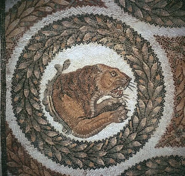 Detail of a Roman mosaic showing the head of a lion, 4th century