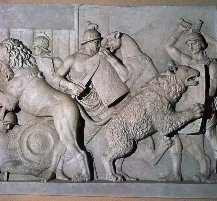 Framed Print : Roman relief of gladiators fighting wild beasts. 1st century Framed Print : Roman relief of gladiators fighting wild beasts. 1st century