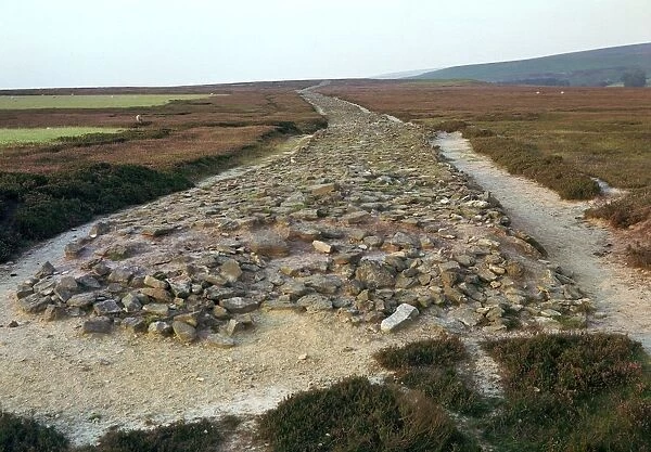Roman road over Wheeldale Moor