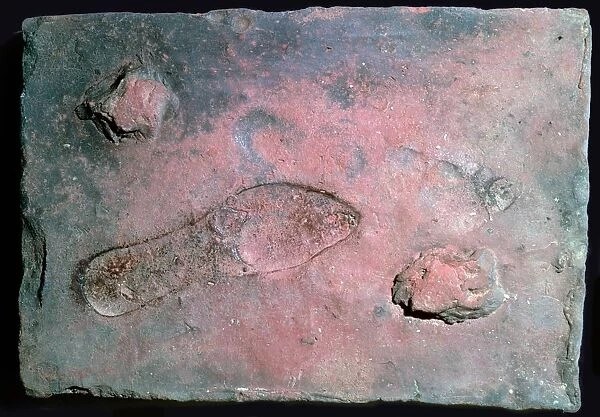 Roman tile with a mans footprint, 1st century
