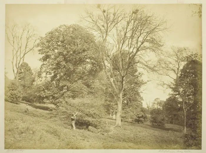 Framed Print : Rook Shooting, May 21, 1881. Creator: Henry Peach Robinson Framed Print : Rook Shooting, May 21, 1881. Creator: Henry Peach Robinson