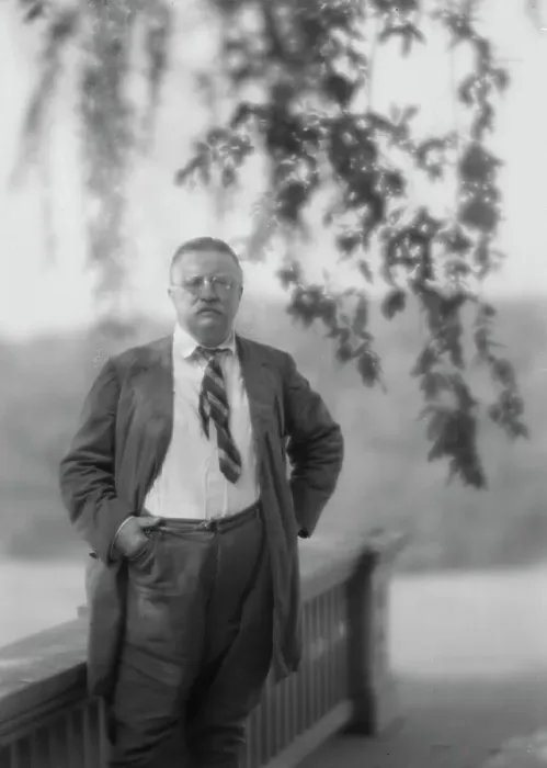 Framed Print : Roosevelt, Theodore, portrait photograph, 1916 Sept. 8. Creator: Arnold Genthe Framed Print : Roosevelt, Theodore, portrait photograph, 1916 Sept. 8. Creator: Arnold Genthe