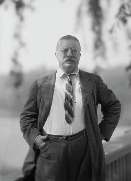 Roosevelt, Theodore, portrait photograph, 1916 Sept. 8. Creator: Arnold Genthe