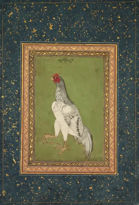 Framed Print : Rooster, c. 1620. Creator: Unknown Framed Print : Rooster, c. 1620. Creator: Unknown