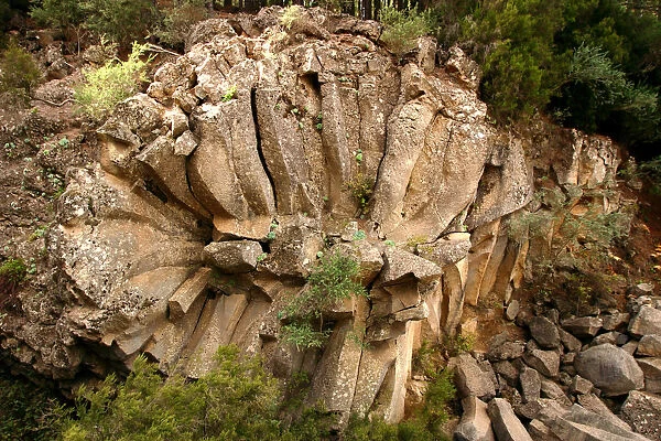 Rosa de Piedra (stone rose), rock formation, Tenerife, Canary Islands, 2007