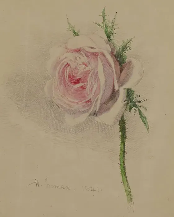 Framed Print : A Rose, 1841. Creator: Henry Inman Framed Print : A Rose, 1841. Creator: Henry Inman