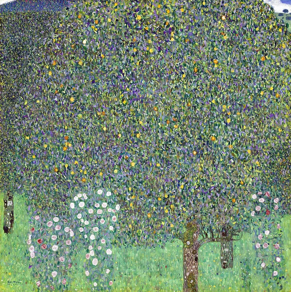 Rose Bushes under the Trees, c. 1905. Artist: Klimt, Gustav (1862-1918)