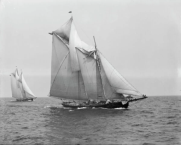 Rose Dorothea, with broken topmast in first Fishermen's Race for Lipton Cup, 1907. Creator: Unknown