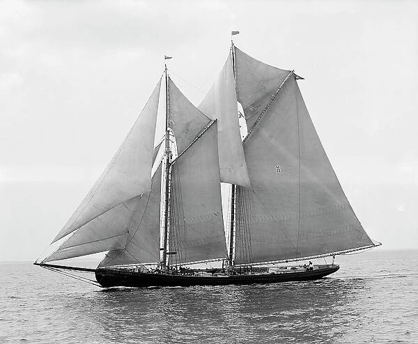 Rose Dorothea, winner of Lipton Cup, in first [?] Fishermen's Race, 1907. Creator: Unknown