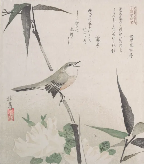 Framed Print : Roses and Bamboo with Nightingale, 19th century. 19th century. Creator: Hokuba Framed Print : Roses and Bamboo with Nightingale, 19th century. 19th century. Creator: Hokuba