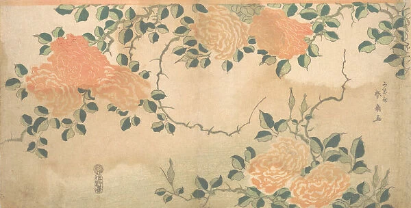 Roses, ca. 1810. Creator: Kashosai Shunsen