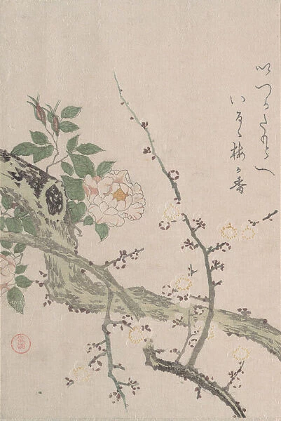 Roses and Plum Blossoms, 19th century. Creator: Kubo Shunman