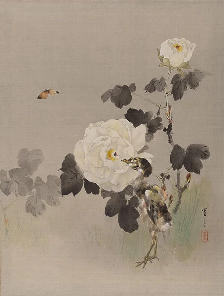 Roses, Young Bird and a Butterfly, ca. 1887. Creator: Watanabe Seitei