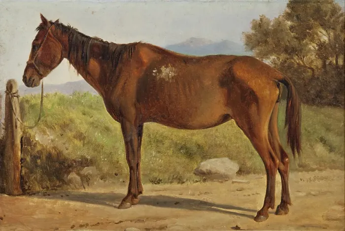 Framed Print : Rosinante (Study of an old standing horse), c1847. Creator: Wilhelm Marstrand Framed Print : Rosinante (Study of an old standing horse), c1847. Creator: Wilhelm Marstrand
