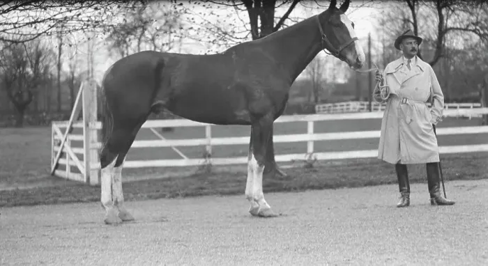 Framed Print : Rossbach, Max, Mr. with horse, 1932 May 1. Creator: Arnold Genthe Framed Print : Rossbach, Max, Mr. with horse, 1932 May 1. Creator: Arnold Genthe