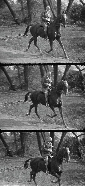 Rothbart, Albert, Mr. on horseback, between 1920 and 1935. Creator: Arnold Genthe