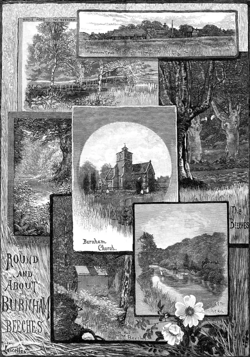 Framed Print : Round and About Burnham Beeches, 1883. Creator: Lascelles Framed Print : Round and About Burnham Beeches, 1883. Creator: Lascelles