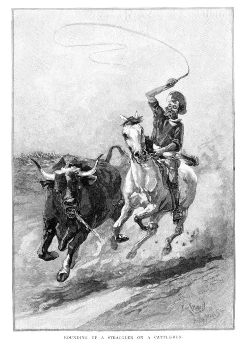 Framed Print : Rounding Up A Straggler On A Cattle Run, Australia, 1886. Artist: Frank P Mahony Framed Print : Rounding Up A Straggler On A Cattle Run, Australia, 1886. Artist: Frank P Mahony