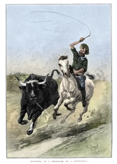 Framed Print : Rounding Up A Straggler On A Cattle Run, Australia, 1886. Artist: Frank P Mahony Framed Print : Rounding Up A Straggler On A Cattle Run, Australia, 1886. Artist: Frank P Mahony