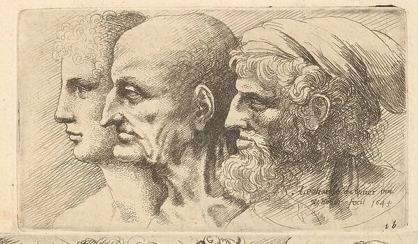 Row of three heads in profile to left, 1645. Creator: Wenceslaus Hollar