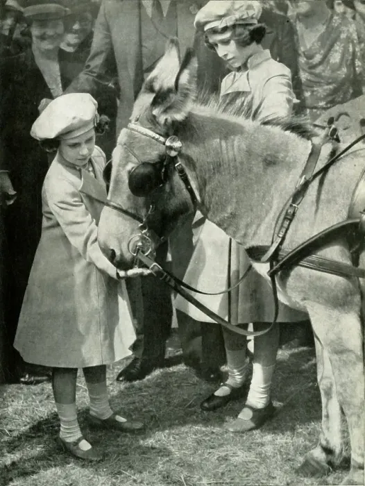 Framed Print : At The Royal Agricultural Show in 1939, 1947. Creator: Unknown Framed Print : At The Royal Agricultural Show in 1939, 1947. Creator: Unknown