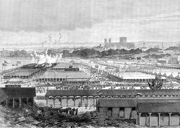 Framed Print : The Royal Agricultural Society at York: general view of the show-yard, 1883. Creator: Unknown Framed Print : The Royal Agricultural Society at York: general view of the show-yard, 1883. Creator: Unknown